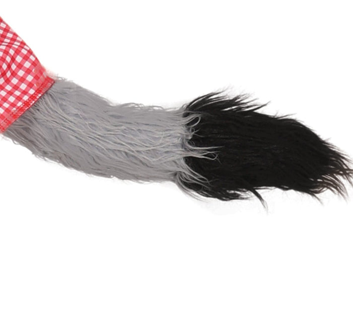 Roodkapje Kostuum Heren van Fiestas Guirca koop je bij Partywinkel