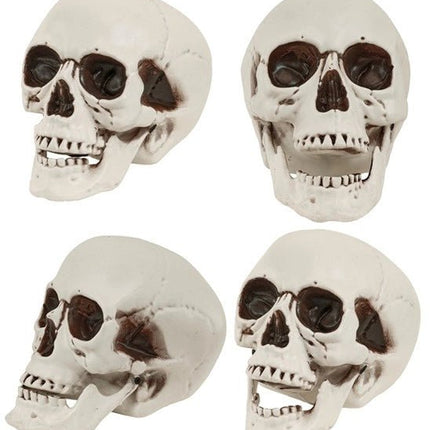 SCHEDEL MET BEWEEGBARE KAAK 18 CM van Widmann koop je bij Partywinkel