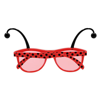 Set Lieveheersbeestje van Boland koop je bij Partywinkel