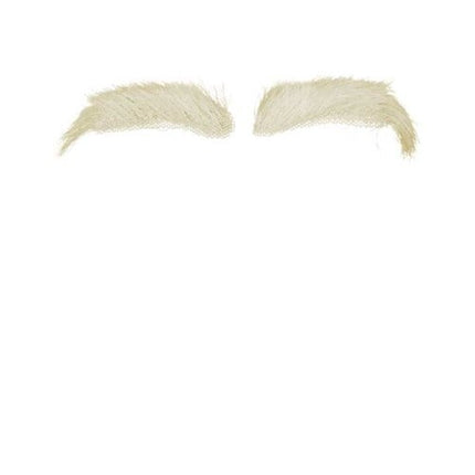 Sinterklaas Wenkbrauwen Kanekalon van Haza Witbaard koop je bij Partywinkel