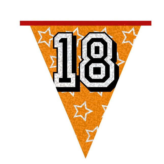 Slingers 18 Jaar Glitter 8m van Boland koop je bij Partywinkel