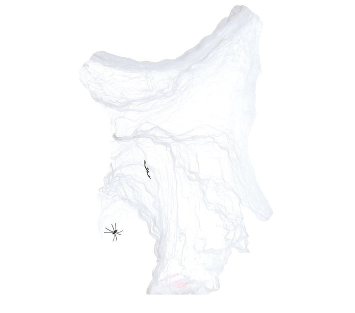 Spinnenweb 20gr van Fiestas Guirca koop je bij Partywinkel