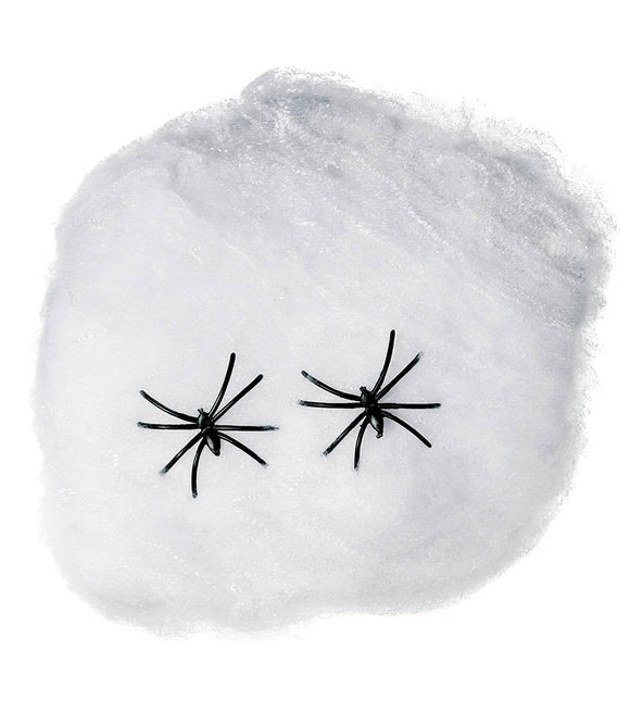 Spinnenweb 20gr van Fiestas Guirca koop je bij Partywinkel