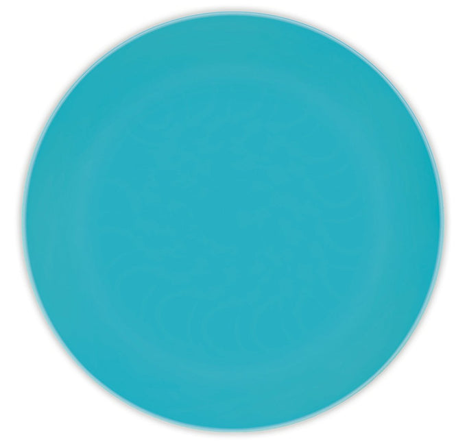 Turquoise Borden 25cm 2st van Procos koop je bij Partywinkel