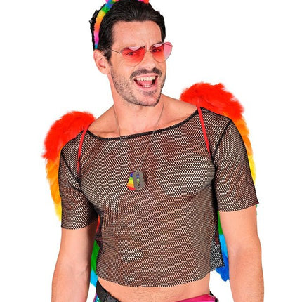 VEREN VLEUGELS REGENBOOG OPVOUWBAAR 50 X 50 CM van Widmann koop je bij Partywinkel