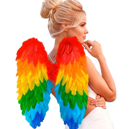 VEREN VLEUGELS REGENBOOG OPVOUWBAAR 50 X 50 CM van Widmann koop je bij Partywinkel