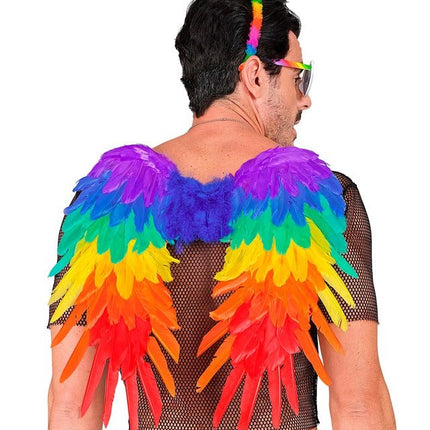 VEREN VLEUGELS REGENBOOG OPVOUWBAAR 50 X 50 CM van Widmann koop je bij Partywinkel