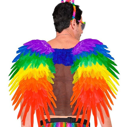 Veren Vleugels Regenboog Opvouwbaar 80X60 cm van Widmann koop je bij Partywinkel