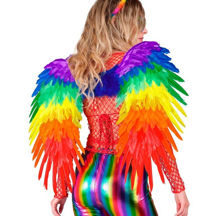 Veren Vleugels Regenboog Opvouwbaar 80X60 cm van Widmann koop je bij Partywinkel