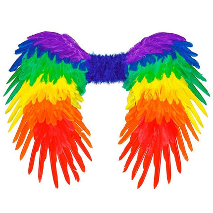 Veren Vleugels Regenboog Opvouwbaar 80X60 cm van Widmann koop je bij Partywinkel
