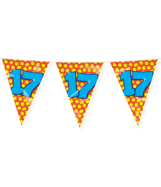 Vlaggenlijn 17 Jaar Gekleurd 10m van Paper Dreams koop je bij Partywinkel