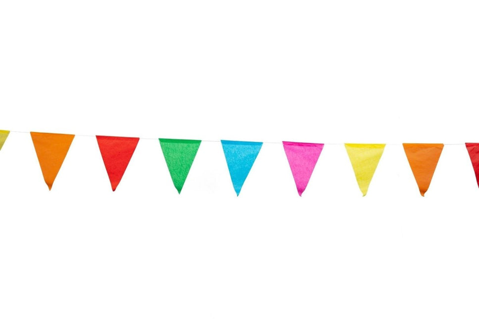Vlaggenlijn Meerkleurig 10m van WeFiesta koop je bij Partywinkel