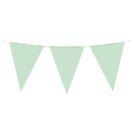 Vlaggenlijn pastel groen van Paper Dreams koop je bij Partywinkel