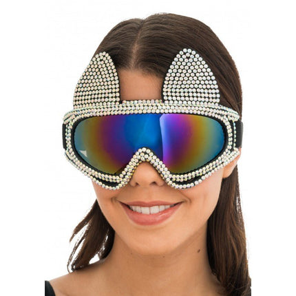 Zilveren Skibril Goggles 18x13cm van CHAKS koop je bij Partywinkel