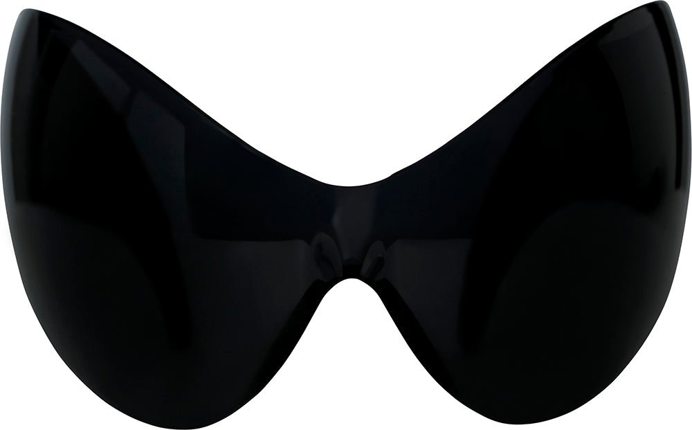 Zwarte Bril van Fiestas Guirca koop je bij Partywinkel
