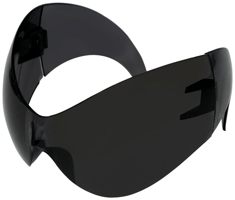 Zwarte Bril van Fiestas Guirca koop je bij Partywinkel