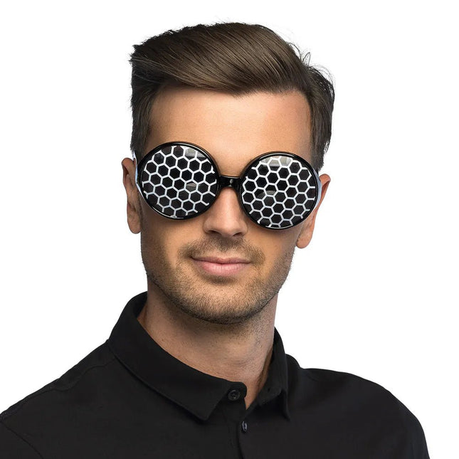 Zwarte Bril Insect van Boland koop je bij Partywinkel