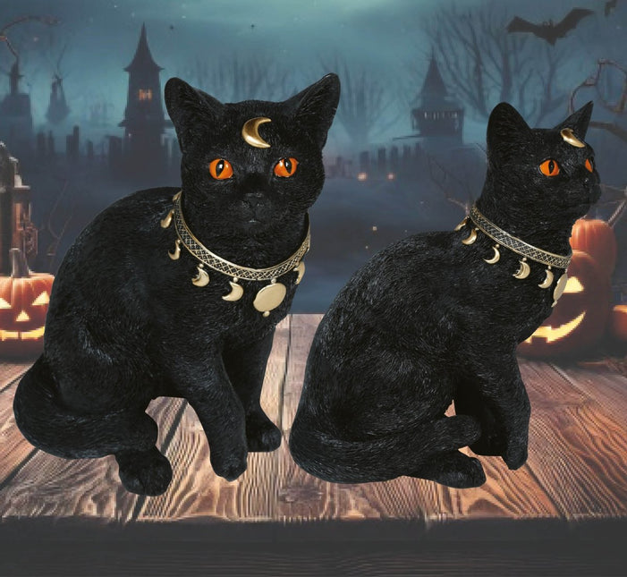 Zwarte Nep Kat 28cm van Fiestas Guirca koop je bij Partywinkel